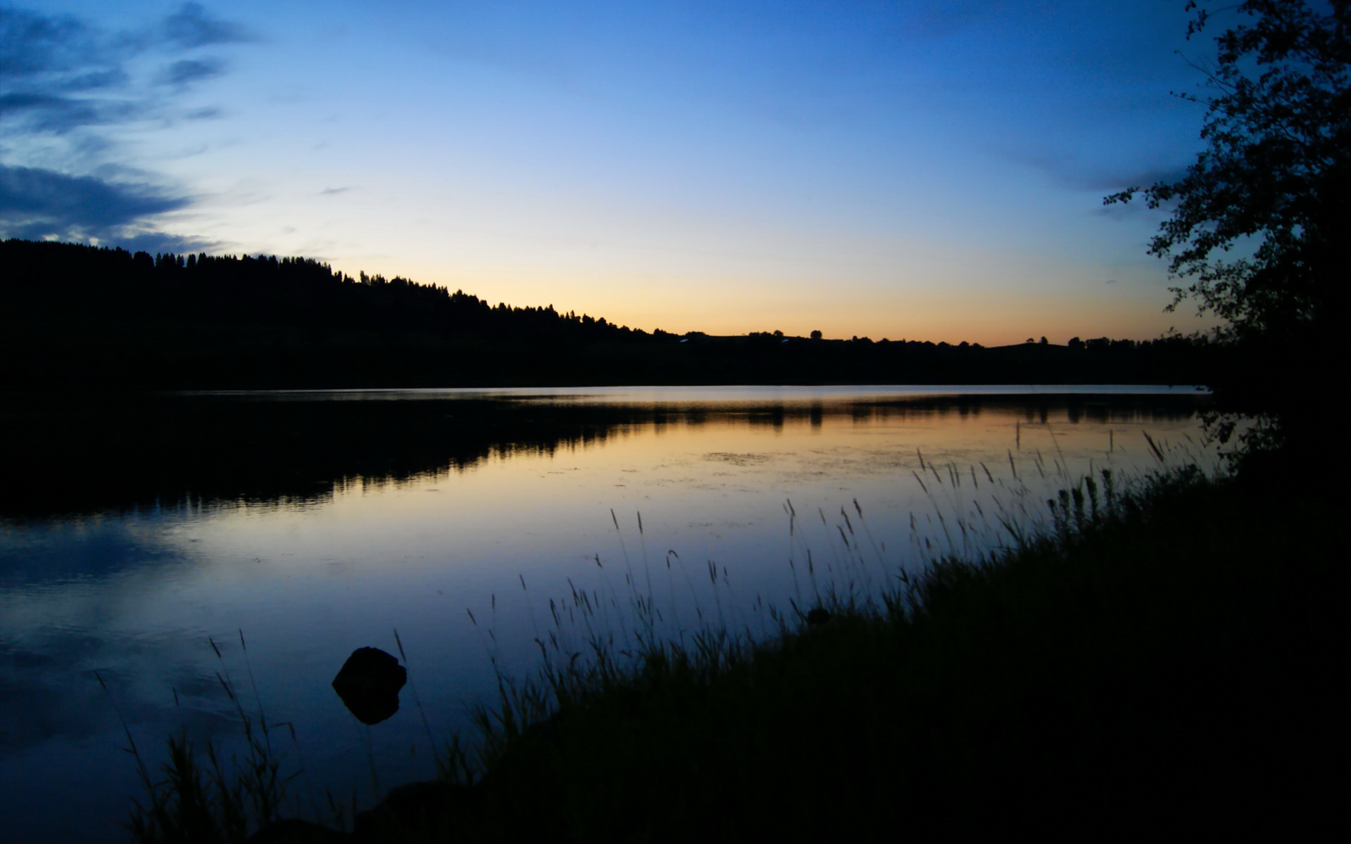 _森林狼逐步走出低谷,追逐季后赛_,森林狼季后赛阵容