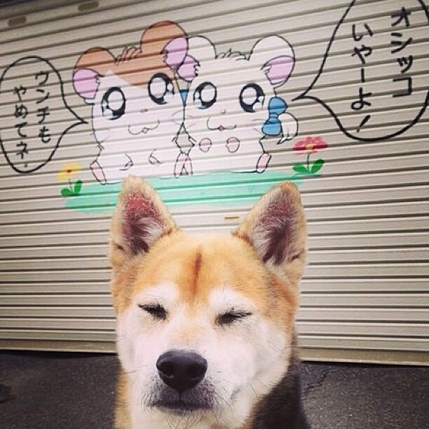 开云官方网页登录-《Uzi：从菜鸟到传奇，电竞路上持续书写辉煌》，uzi的电竞路