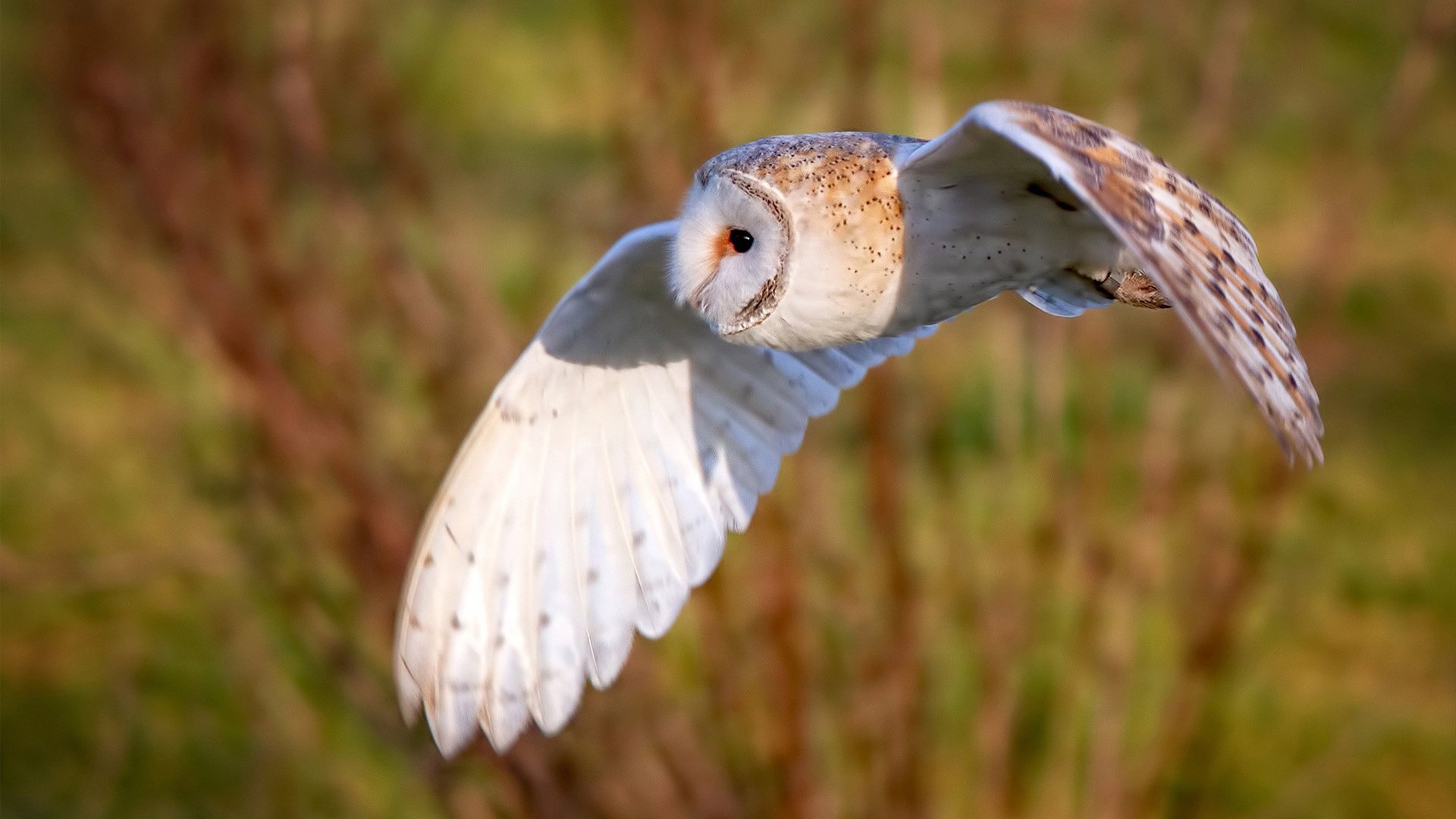 中国篮球联合会加强运动员权益保护,营造良好行业环境,篮球比赛保障人员