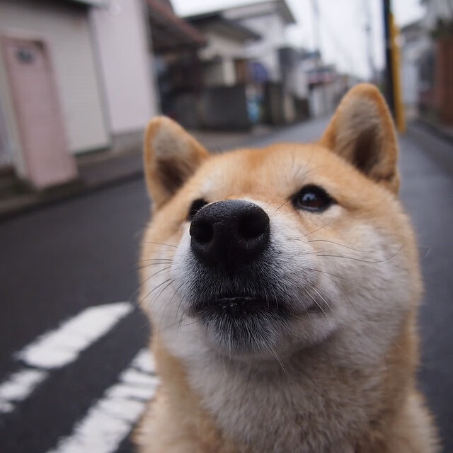 KAIYUN 中国大陆-传奇回忆：NBA历史上最经典的夺冠时刻，nba夺冠纪录