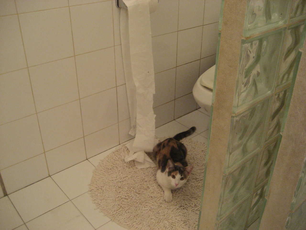 传奇回忆:NBA历史上最经典的夺冠时刻,nba夺冠纪录