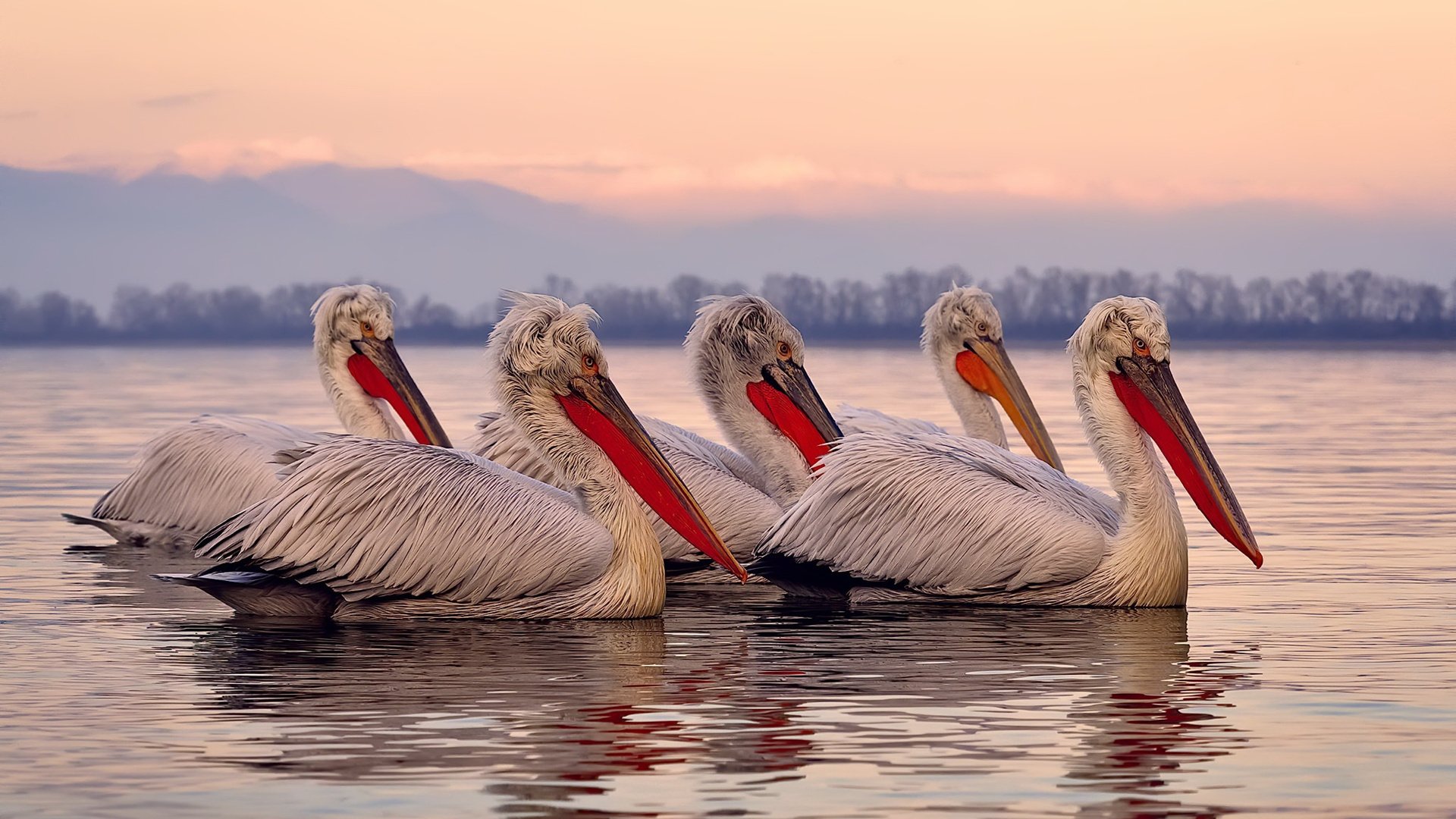 开云·体育官网-全国青少年“篮球文化节”在武汉盛大开启，推广体育精神同时融合文化魅力