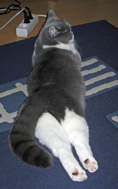 持续推进足球场馆智能化与信息化建设,持续推进足球场馆智能化与信息化建设的意义