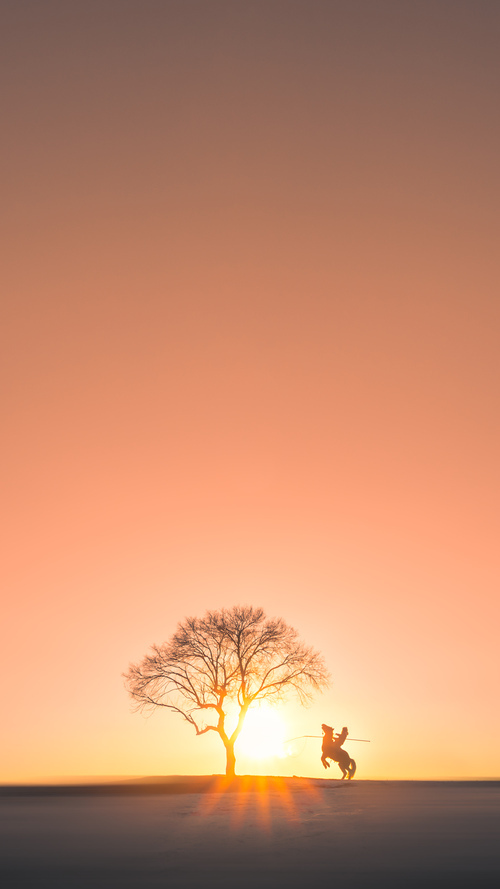 开云体育-深圳新鹏城引援策略独特，球队实力提升明显，深圳鹏城新农业科技集团有限公司