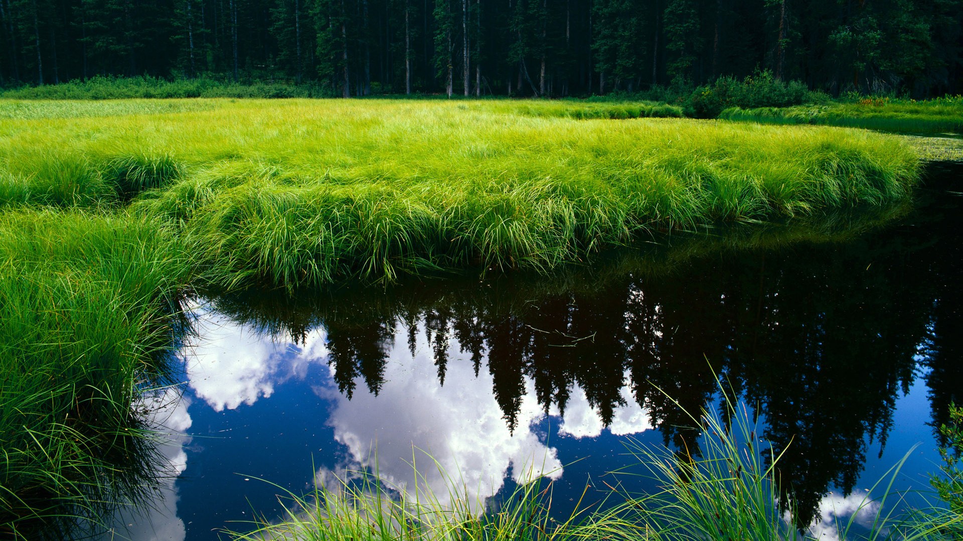 开云网页版登录入口-英格兰进攻效率居奥运第一，英格兰进攻防守