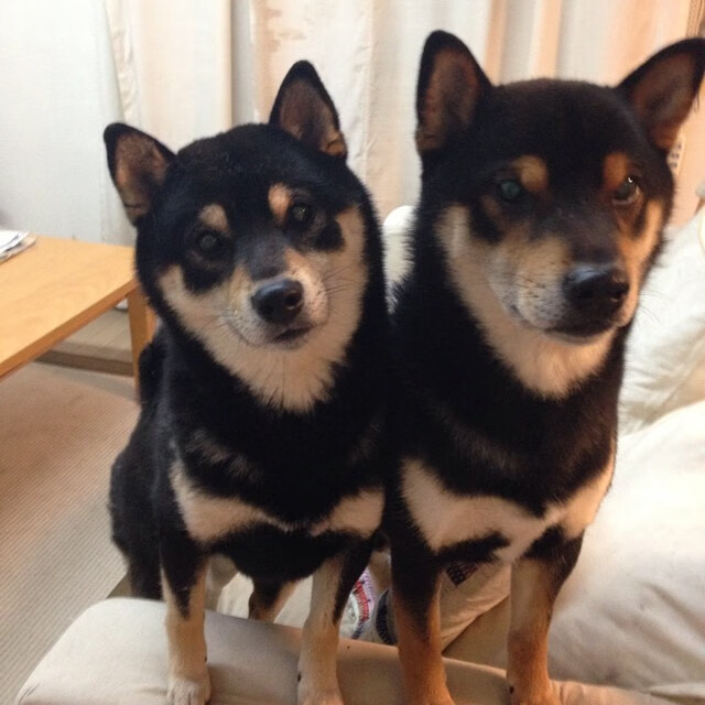 开云中国-迪巴拉加盟罗马，寻求新突破，迪巴拉吧