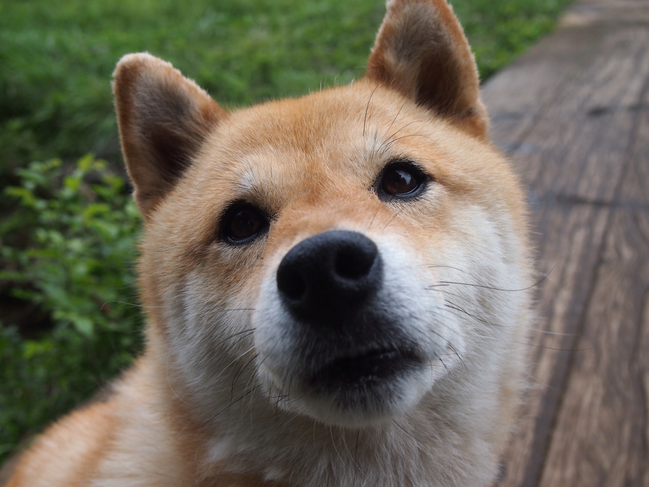 开云官网-体育竞技场面激烈紧张，观众眼前一亮，竞技体育下一句