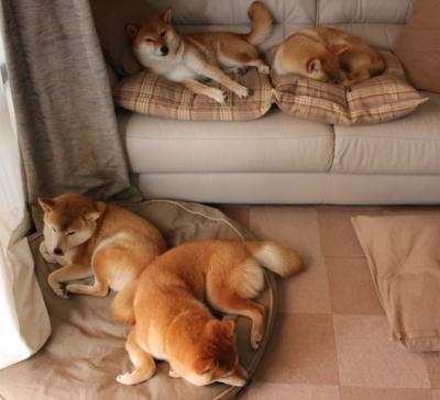 开云官方网站-南斯拉夫队在欧预赛比赛中遭遇阻碍，再战淘汰赛，南斯拉夫被禁赛