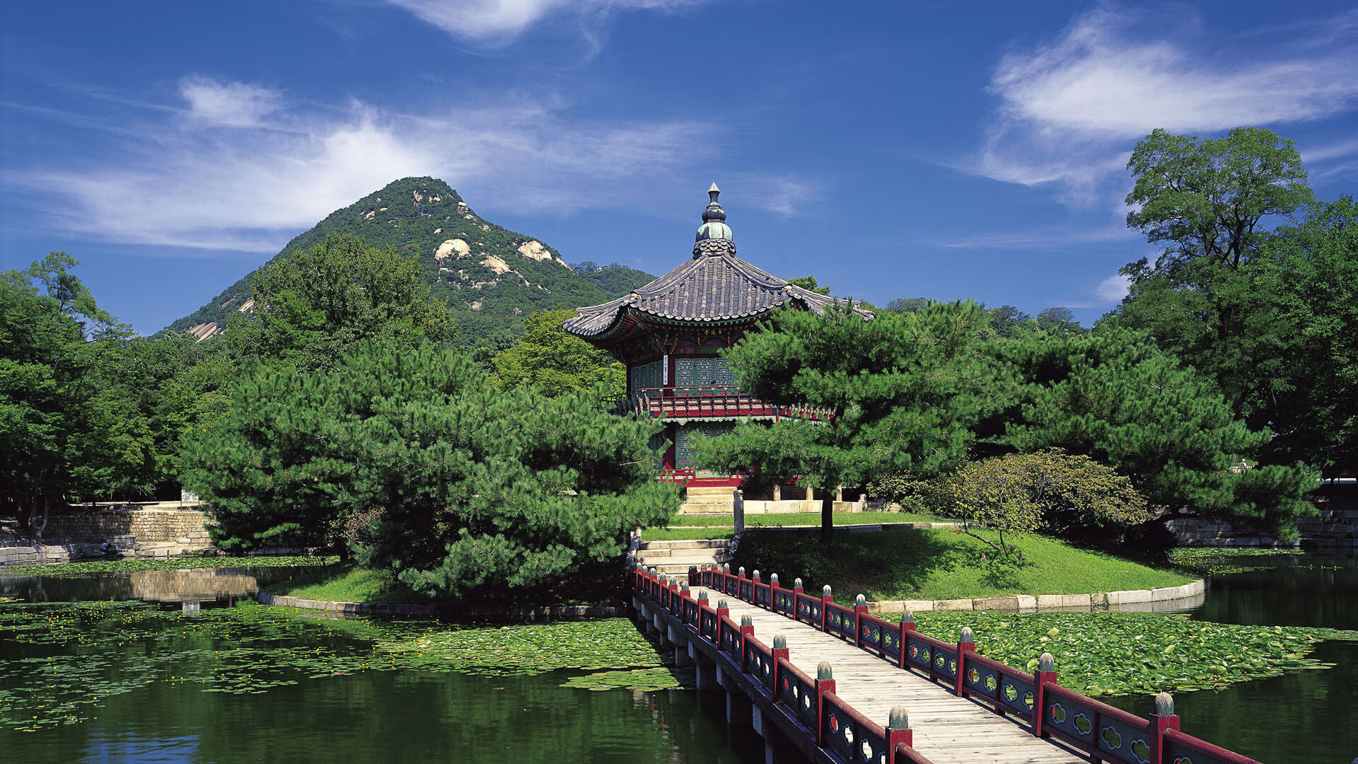 开云中国-哈德斯菲尔德反击节奏鲜明，约克郡之光全力保级，约哈德的封印之力和哈维登特