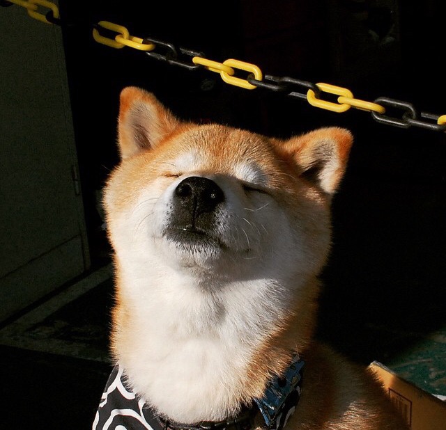 开云·体育官网APP下载-国际足球比拼激烈，体现球队实力，国际足球比拼激烈,体现球队实力吗