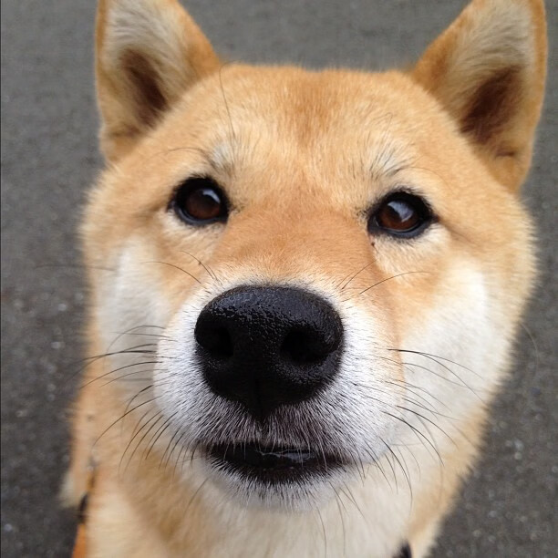 开云体育APP下载-太阳客场奏凯布克拿下二十五，太阳布克教练