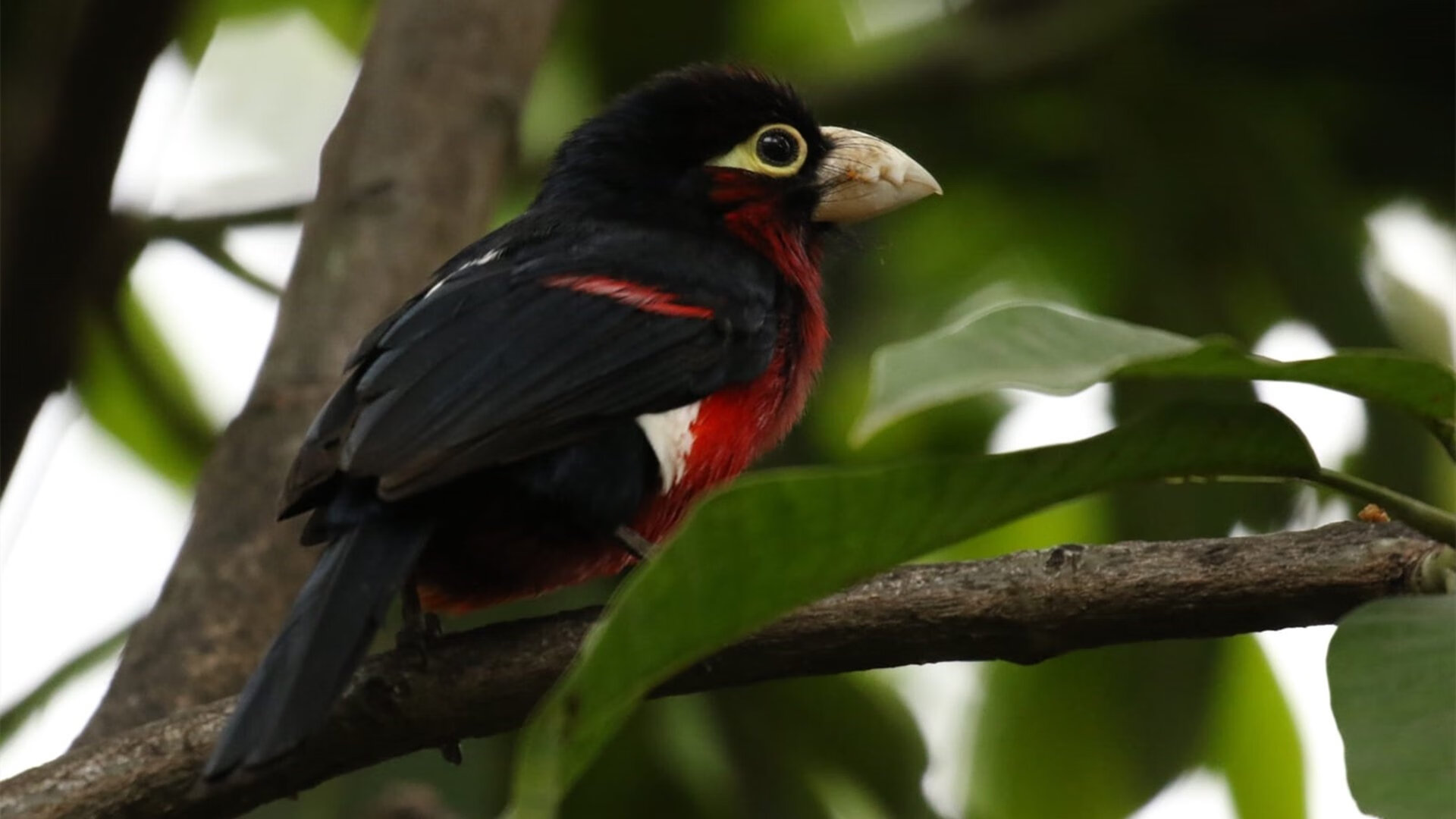 开云中国-女足训练技术日益先进，女足技术差