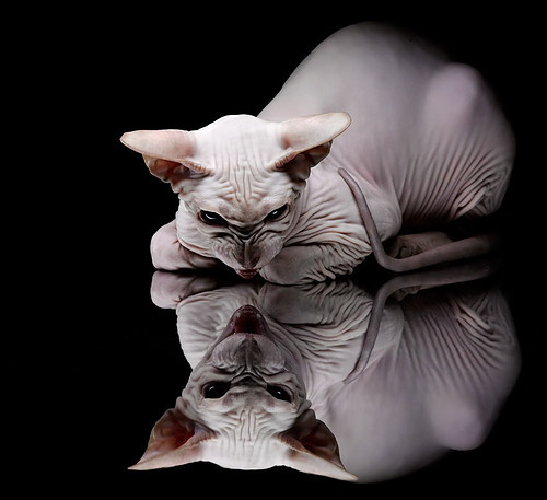 开云·体育官网APP下载-顶尖球队争夺，本赛季全新挑战即将开始，新赛季30大球星