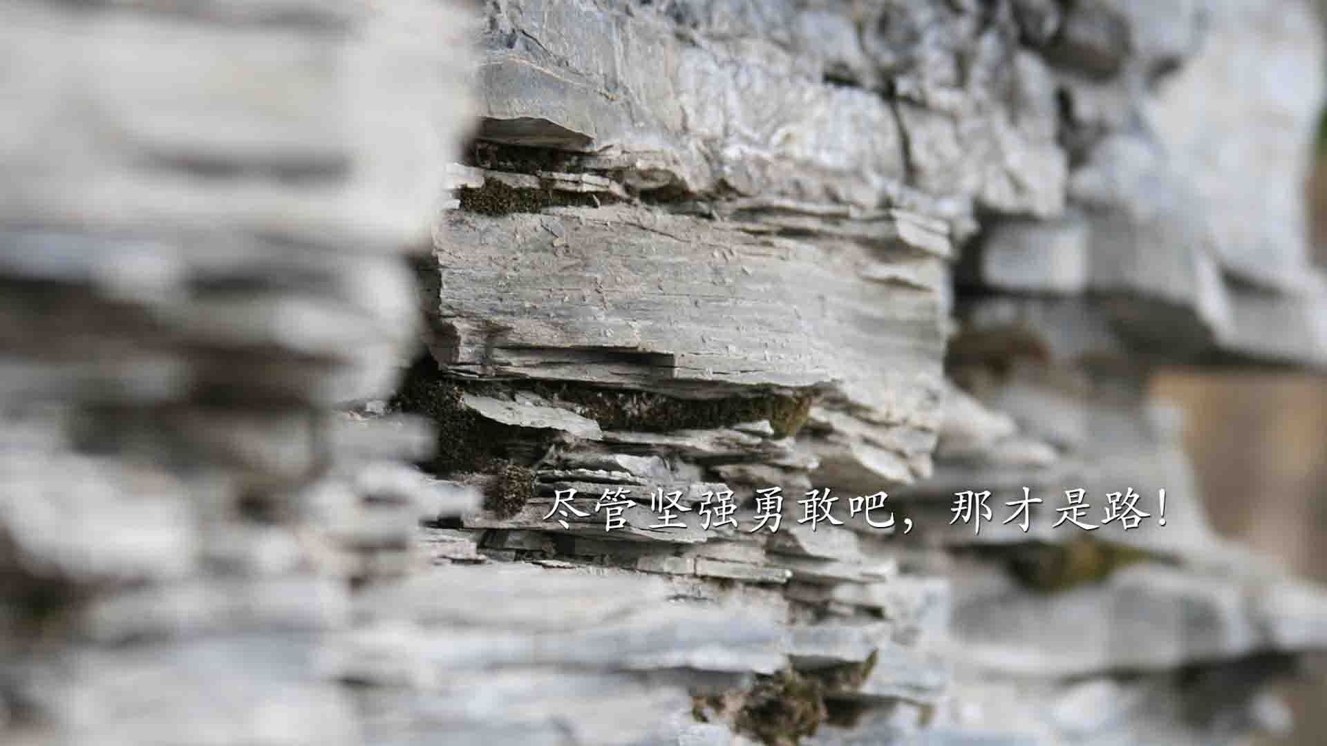 全国青少年体育舞蹈锦标赛青春舞动胜利在望，全国青少年体育舞蹈锦标赛2020