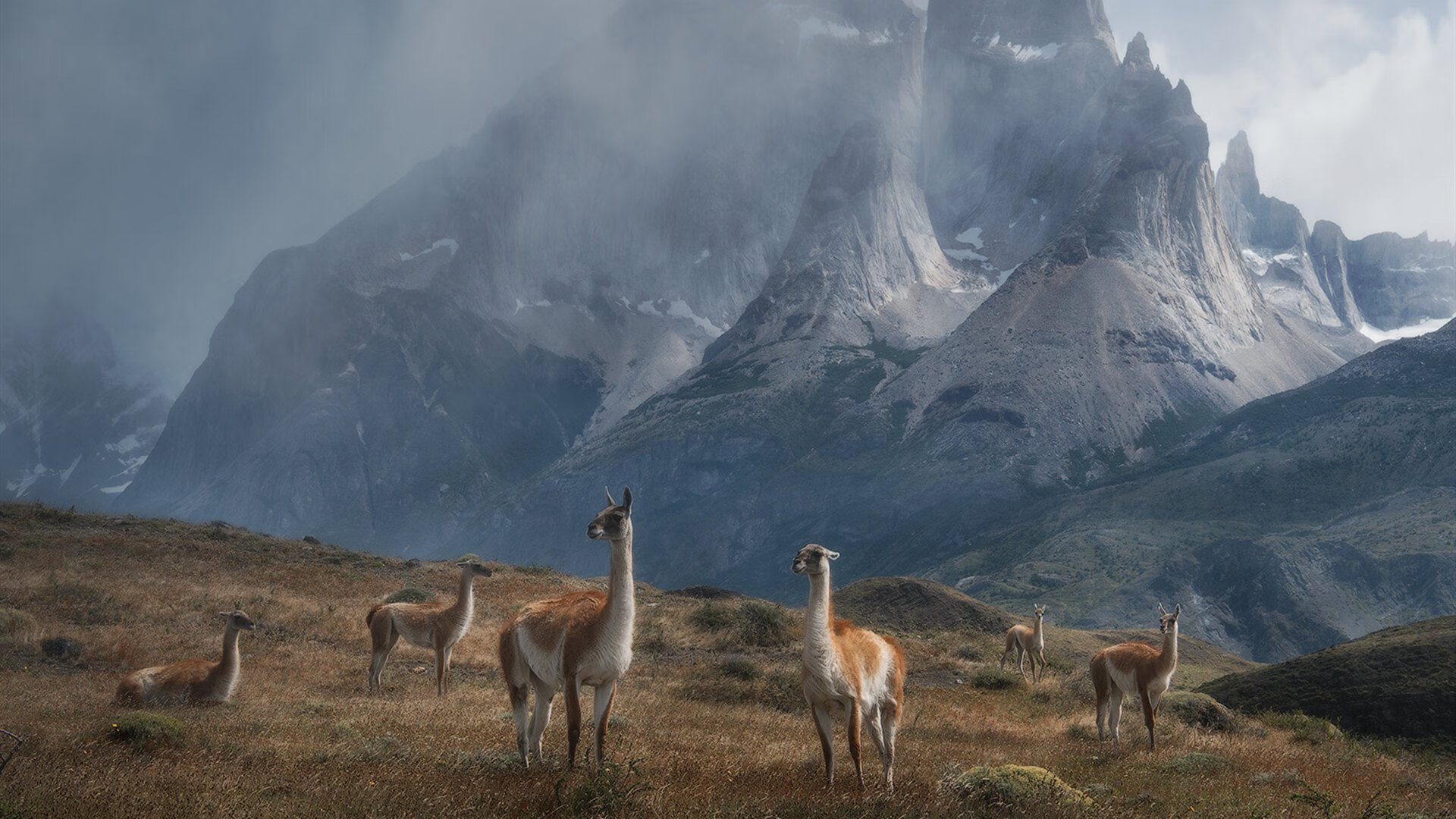 全国青少年趣味运动会迎来青春盛宴，青年趣味运动标语