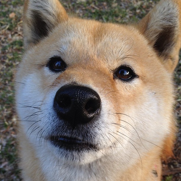 篮球运动员竞技状态实时监控及训练调整技术开发，篮球运动员训练视频