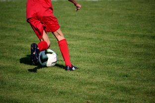 开云平台-体育新闻中心发布体育短视频内容运营新策略，体育短视频存在的问题