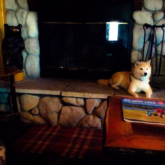 得分分布多点开花是否更难防守,得分点是什么