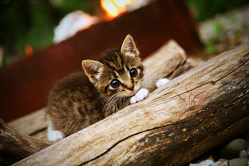 世界杯最燃对决:一触即发的精彩!,世界杯经典瞬间