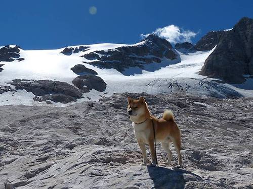 梅西在国家队比赛中展现统治力，带领阿根廷冲击冠军