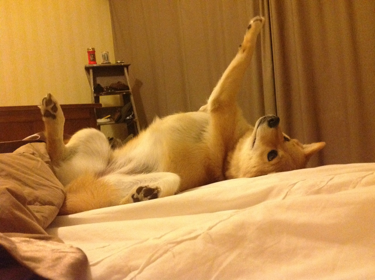 瑞·弗兰:他是全黑队“攻防一体”的代表,每次出场都充满威胁